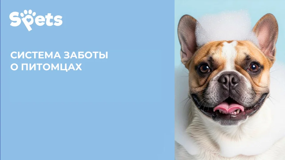 СИСТЕМА ЗАБОТЫ · О ПИТОМЦАХ