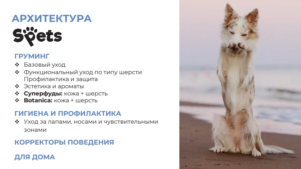 АРХИТЕКТУРА · ГРУМИНГ